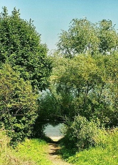 Waldweg Wald Weg Azsweg Weg suchen